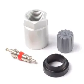 17-20013AK 31 INCORPORATED Tpms Sensor Service Seal Kit