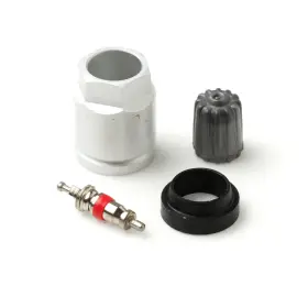 17-20096AK 31 INCORPORATED Tpms Sensor Service Seal Kit Xls