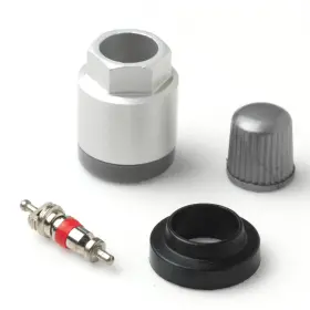17-20206AK 31 INCORPORATED Tpms Sensor Service Seal Kit Ex