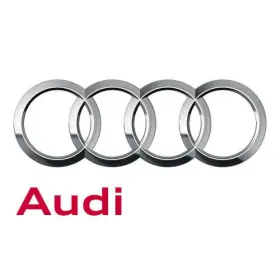 4H0-907-273 AUDI Control Module