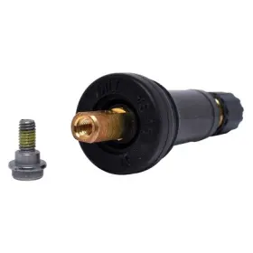 VS15 CARQUEST/DILL AIR CONTROL Tpms Rubber Valve Snap Stem