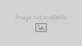 974304 DORMAN Sensor Versatile Performance