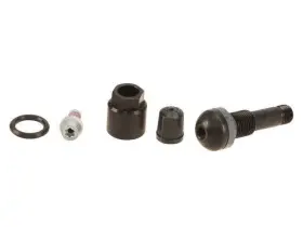37985GWMS PORSCHE Remote Tpms Valve Spyder