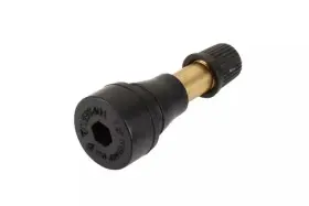 09593595 GM Wheel Tire Valve Stem Cadillac Chevrolet Gmc
