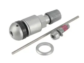 56598JGBP HUF NORTH AMERICA Remote Tpms Valve 328XI Bmw