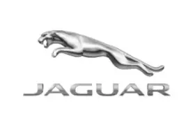 C2D60778 JAGUAR Styled Valve Caps