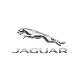 T2H53945 JAGUAR Pressure Sensor Monitoring