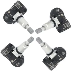 12569475 LUXFINEPARTS Tire Pressure Sensor Monitoring Dodge