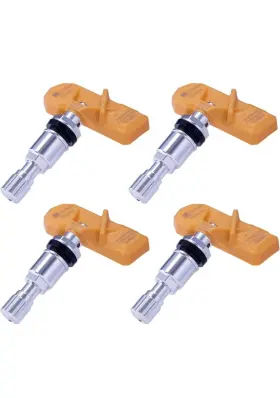 IM2119.4 PAPCO Tpms Tire Pressure Monitoring Pack Tesla #2