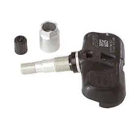 20099 SCHRADER Pressure Sensor Monitoring
