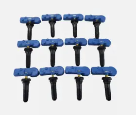 33200 SCHRADER Ez Sensor Tpms