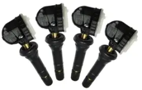 SCHRFK4S SCHRADER Kit