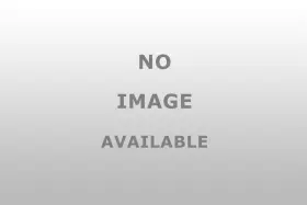 29058 SCHRADER TPMS SOLUTIONS Clamp Delta Bmw