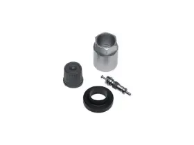RW718DG SCHRADER VALVES Tire Pressure Sensor Monitoring Tpms