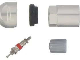 SH74W2 SCHRADER VALVES Tire Pressure Sensor Monitoring Tpms