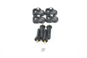 T20-RKT SCHWABEN BY FOXWELL Programable Tpms Sensor Rubber