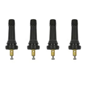 APARTFZ20231101A1182 STANDARD IGNITION Tire Pressure Valve #2