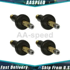 ASPD201011251487-CP STANDARD IGNITION Tire Pressure Valve Ram