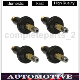 COMPLTS240523026749 STANDARD IGNITION Tire Pressure Valve Kit