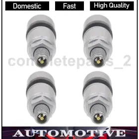 COMPLTS241230157442 STANDARD IGNITION Tire Pressure Valve Kit