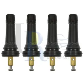 ECOSZFZ20250926-590 STANDARD IGNITION Tire Pressure Valve Kit