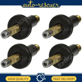 ECOSZFZ20251018-759 STANDARD IGNITION Tire Pressure Valve Kit