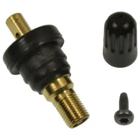 TPM2101VK4 STANDARD IGNITION Tire Pressure Monit Design Valv