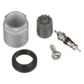 TPM4012SK STANDARD Tpms Sensor Service Valve Stem Kit 2500
