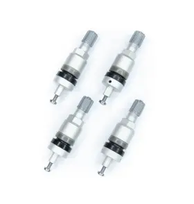 RDV036 TPMS Valve Stem Set Bh Sens Huf Sensors
