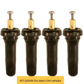 1720008 XTRA SEAL Tpms Snap Valve Stem Pack Gm