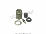 Vw Golf Gti (2006-2011) Tpms Sensor Valve Stem Service Kit Redi-sensor Oem. Fixed Price $22.45.