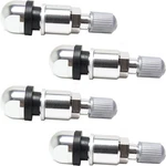 Set-rb974000-4 Dorman Set Of 4 Tpms Valve Stems For Chevy Vw Mb Mercedes Runner. Fixed Price $48.29.