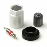 31 Inc 17-20028ak Economy Tpms Valve Stem Service Kit Chrysler (10 Pack). Fixed Price $42.99.