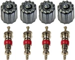 Dorman 609-126 Nickel Valve Core And Cap. Fixed Price $10.75.