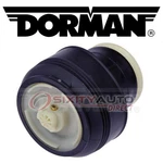 Dorman Rear Left Air Suspension Spring For 2007-2013 Bmw X5 Shock Strut Yx. Fixed Price $275.57.