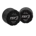 Rv Tpms System Tire Pressure Sensor Caps 2-pack. Fixed Price $114.95.