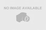 Genuine Subaru Screw 28192fj000. Fixed Price $7.45.