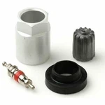 31 Inc 17-20028ak Economy Tpms Valve Stem Service Kit Forgm / Chrysler Sensors. Fixed Price $6.93.