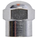 Dorman 609-156 Tpms Chrome Plated Sealing Valve Cap 50 Pcs.. Fixed Price $34.61.
